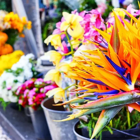 Unique Tropical Style Penthouse With A Dreamy View - By Portugal Collection Apartment *