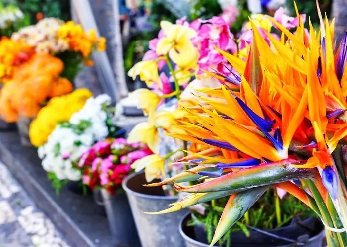 Unique Tropical Style Penthouse With A Dreamy View - By Portugal Collection Apartment *